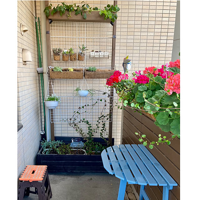 marukoさんの部屋
