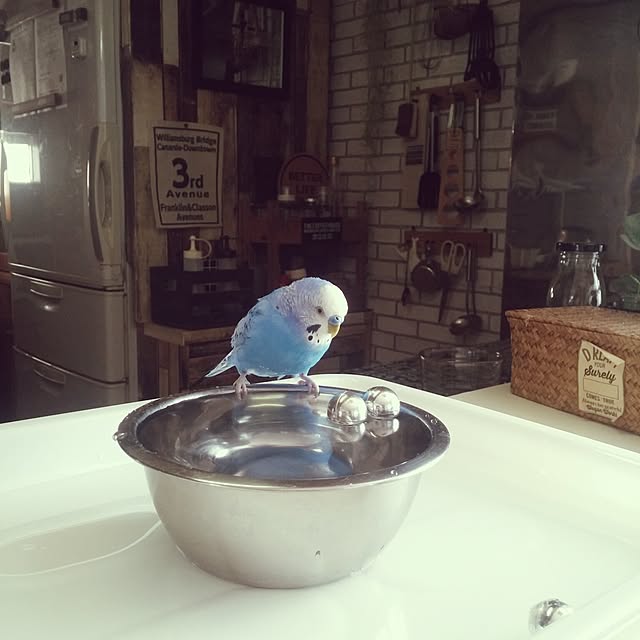 opiopiopiさんの実例写真