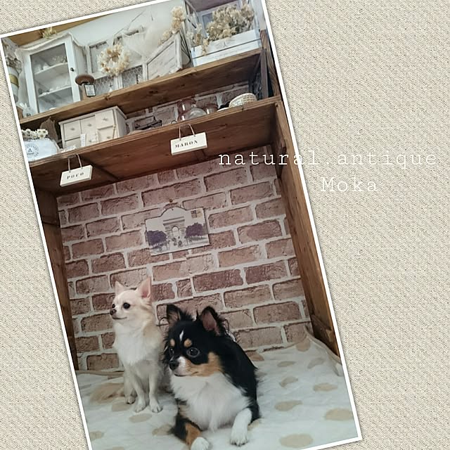 Mokaさんの実例写真