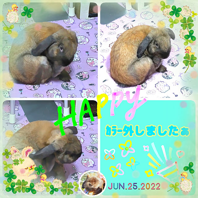 mariaさんの実例写真