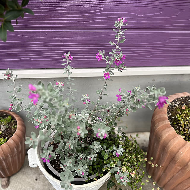 AYUKOさんの部屋