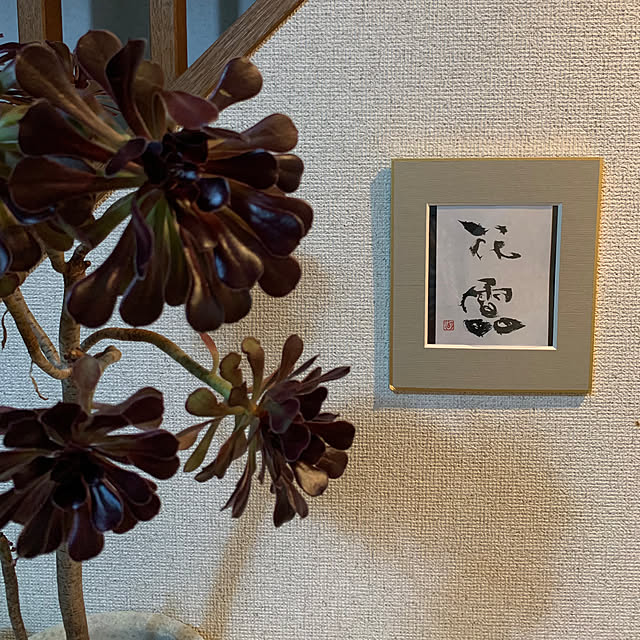 kapiさんの実例写真