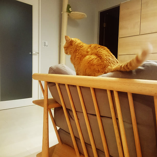 hanacocoさんの実例写真