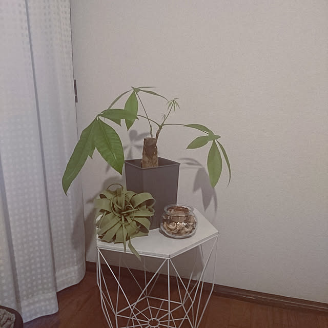 kyoko_aさんの実例写真