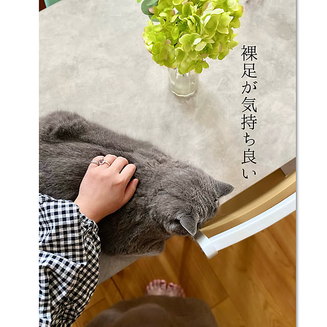 chibinoriさんの実例写真