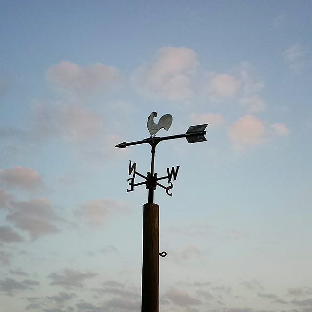 hanaさんの実例写真