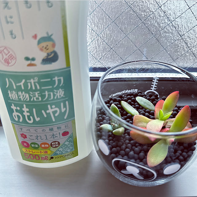 SO105さんの実例写真
