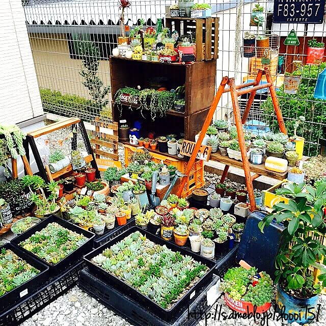 doooi.75さんの実例写真