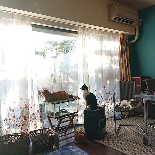 okyosan101さんの実例写真