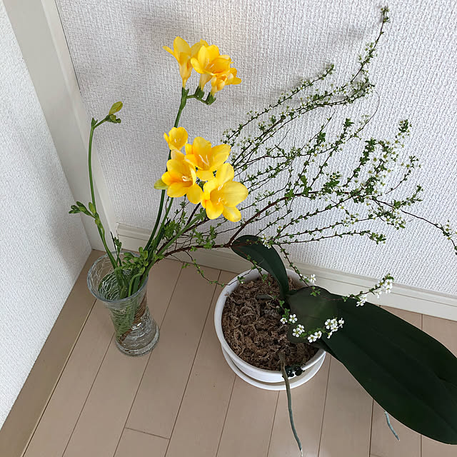 ccccさんの実例写真