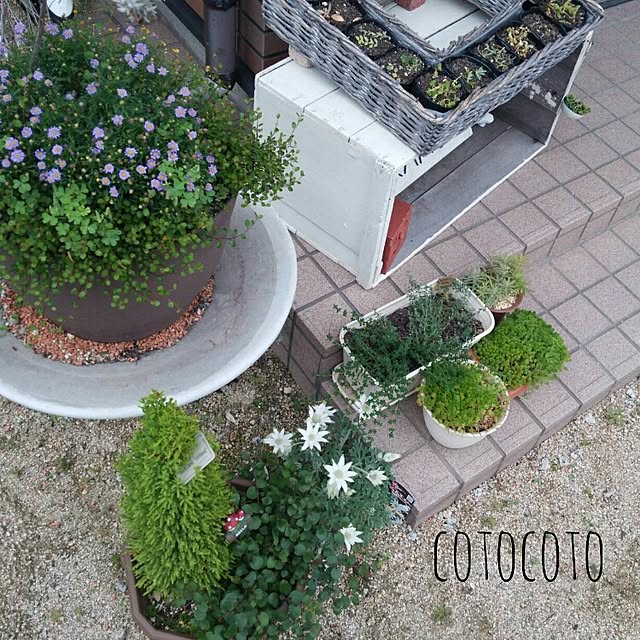 cotocotoさんの実例写真