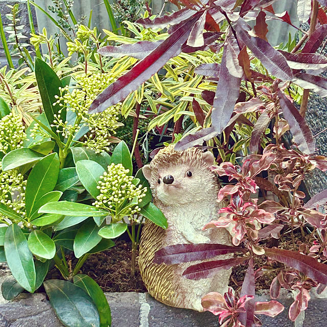 DAYONEさんの実例写真