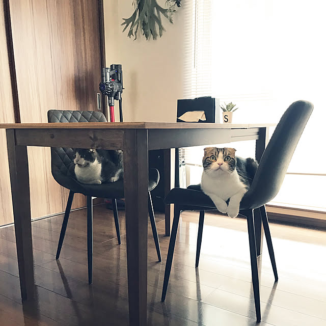 tansukeさんの実例写真