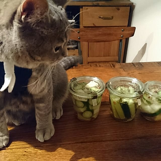 tamaさんの実例写真