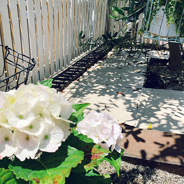 moolさんの部屋