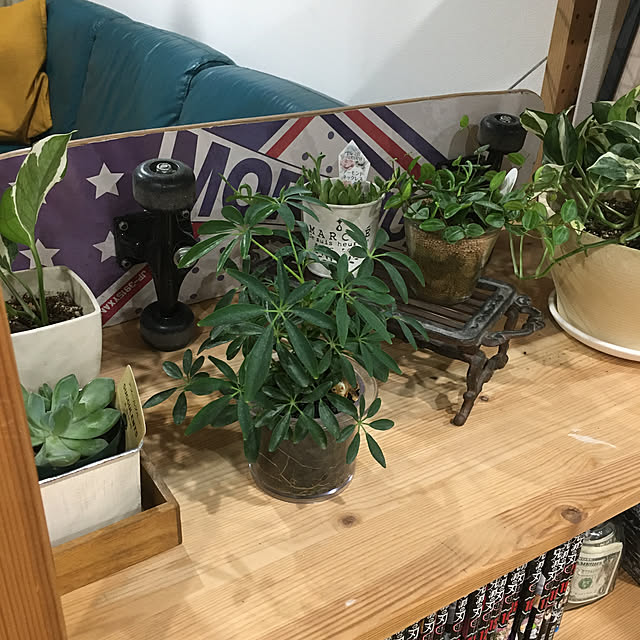 keikoさんの部屋