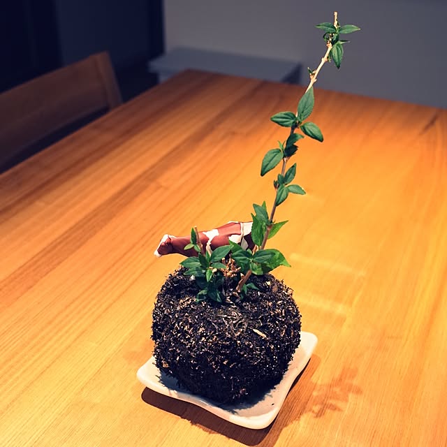 antriver1さんの実例写真