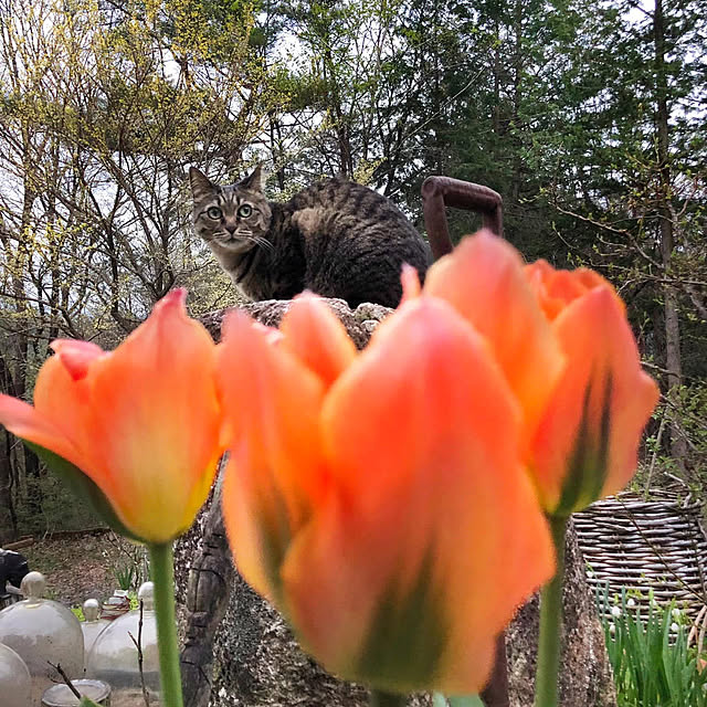 weさんの実例写真