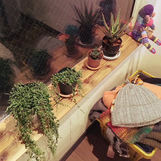 motomaki_zaouさんの実例写真