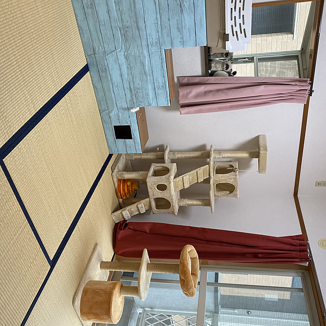 ペットと暮らすインテリア/部屋全体のインテリア実例 - 2021-05-05 16:49:16
