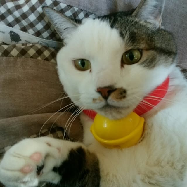 J.BOYさんの実例写真