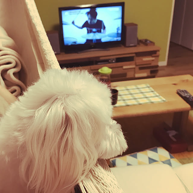akyariさんの実例写真
