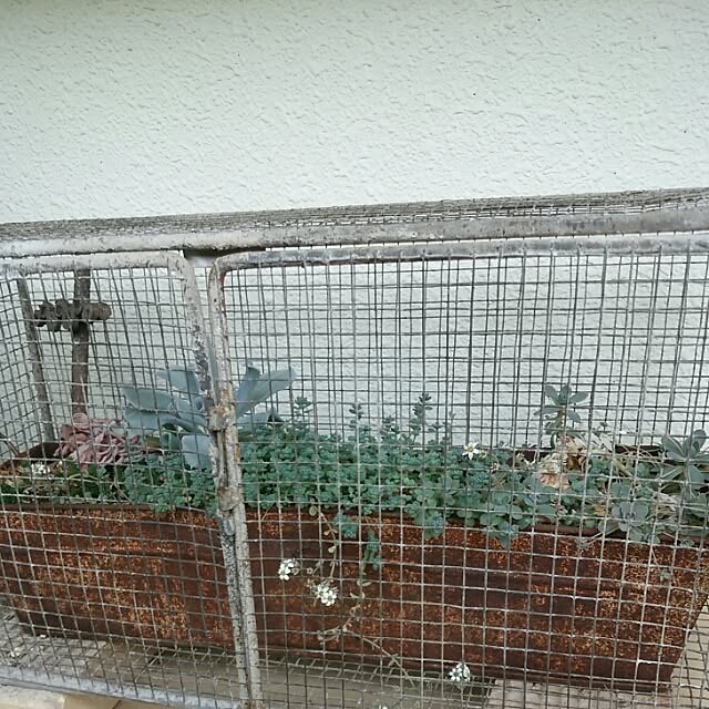 marokoさんの実例写真