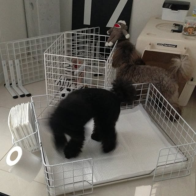 FXさんの実例写真