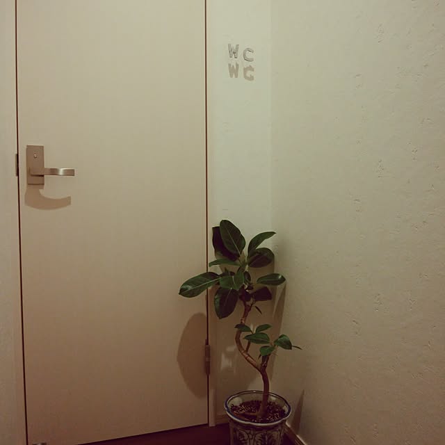 koruhariさんの実例写真