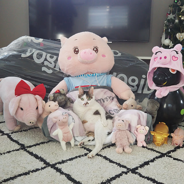 Sakasanさんの実例写真