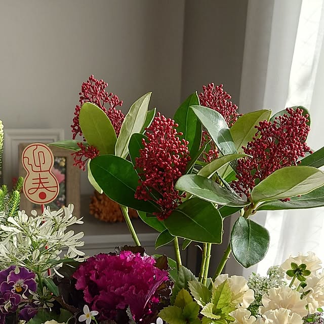 mayuroseさんの部屋