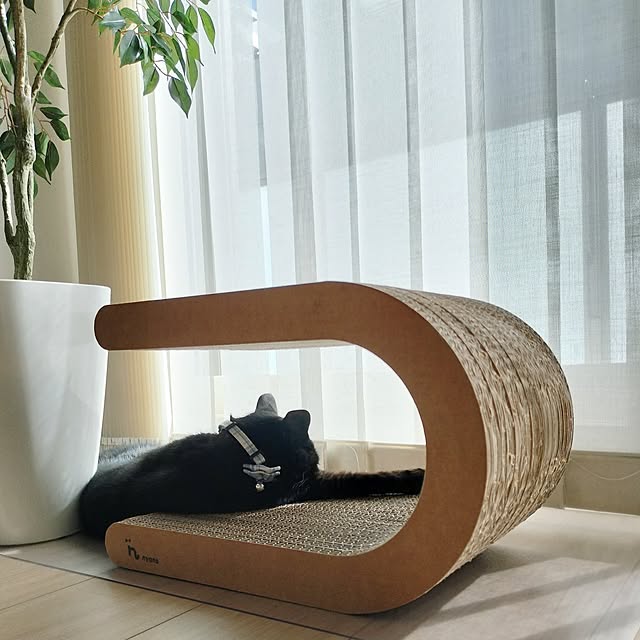 sakuraさんの実例写真