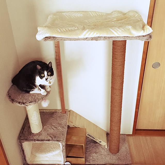 pikupikumanさんの実例写真