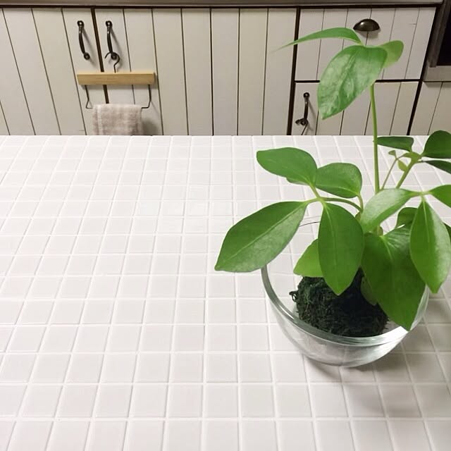 non-nonさんの実例写真