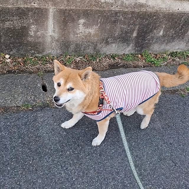 nanaさんの部屋