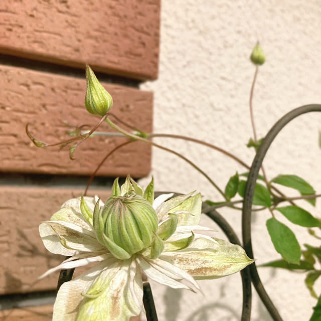 sunabaさんの部屋