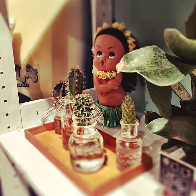 shunさんの実例写真