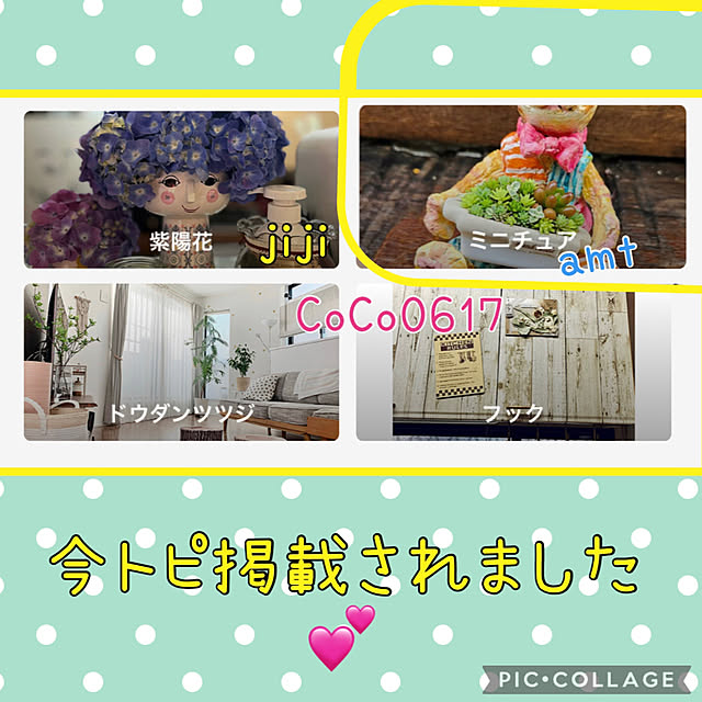 jijiさんの実例写真