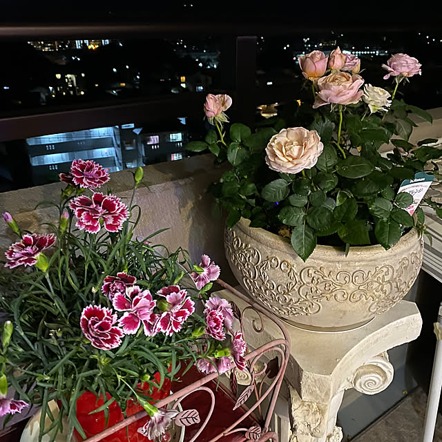 simonaさんの部屋