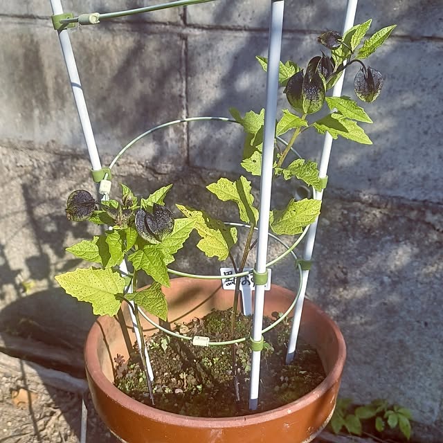 hiro.904さんの実例写真