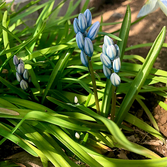 tomoさんの実例写真