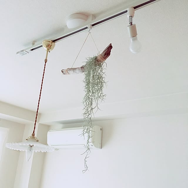 sakiyukaさんの実例写真