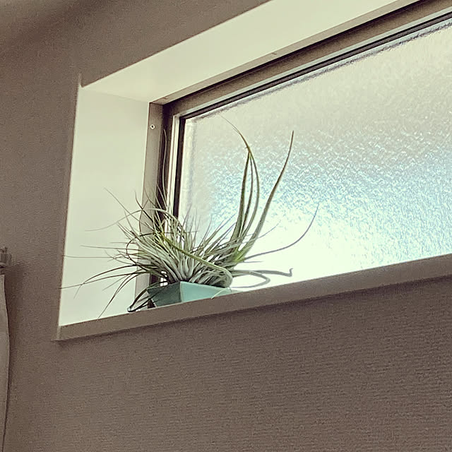 tachiさんの実例写真