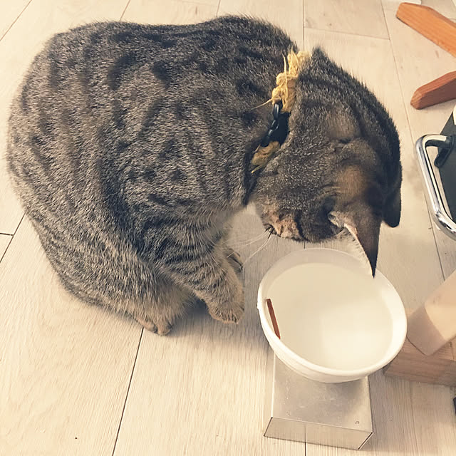 Mさんの実例写真