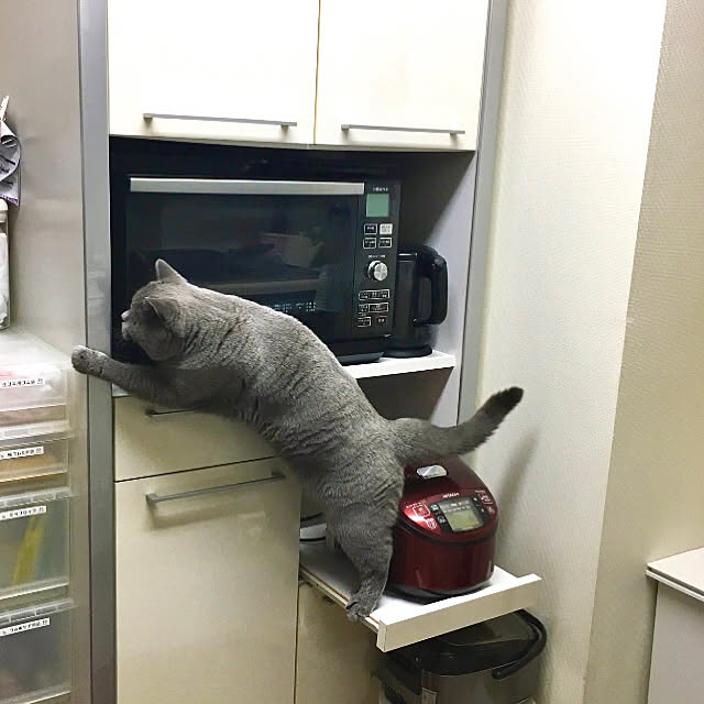 kittyさんの実例写真