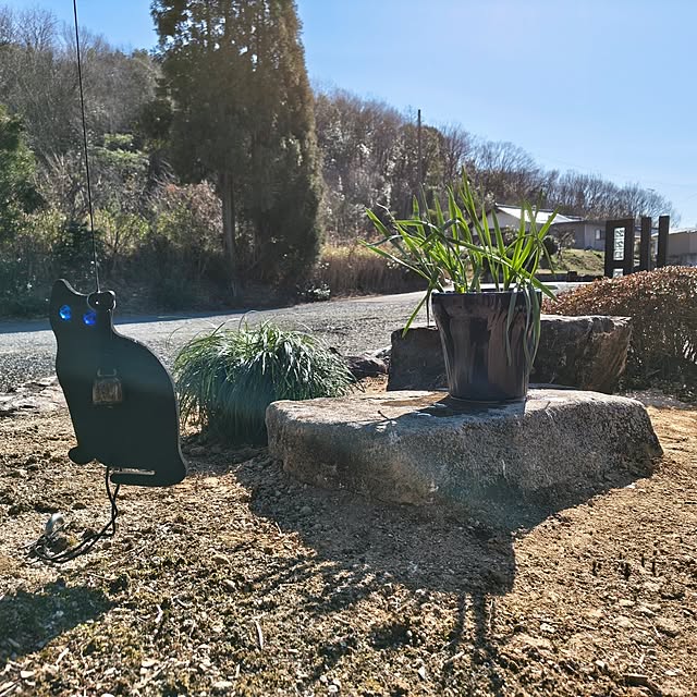 Rubiconさんの実例写真