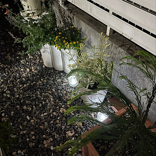 puritan_rさんの実例写真