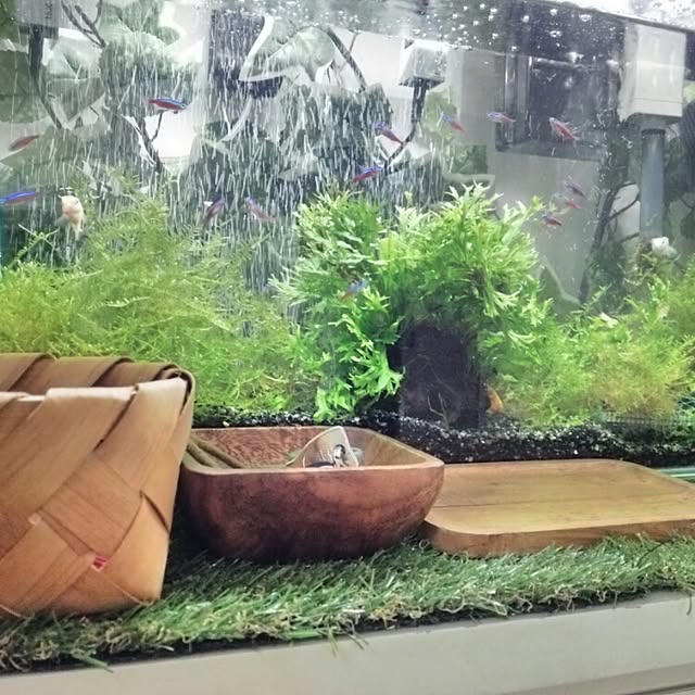 実例写真