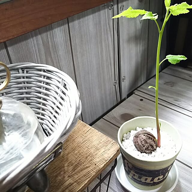 tomokaさんの実例写真
