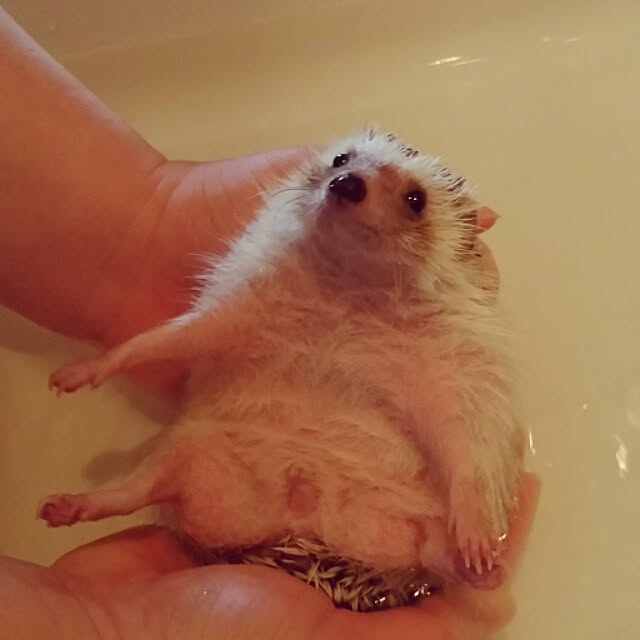 kuruさんの実例写真